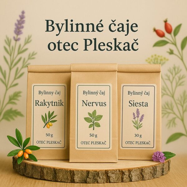 Byliny otec Pleskač